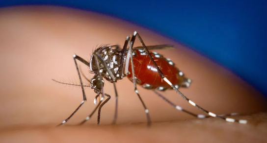 1564388310271761.png image.png