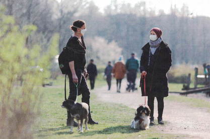 1591003275512138.png 9~A)19$GD}J~V{TN5)(DZXJ.png