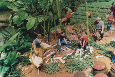 1617614434555422.png image.png